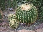 006_2009-0118-1021-27.jpg